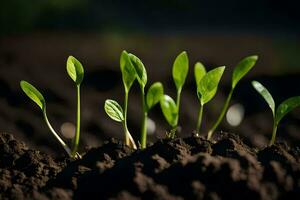 a group of young plants growing in the dirt. AI-Generated photo