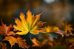 a close up of a maple leaf in the fall. AI-Generated photo