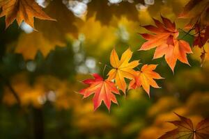 autumn leaves, autumn, autumn leaves, autumn leaves, autumn leaves, autumn leaves, autumn. AI-Generated photo
