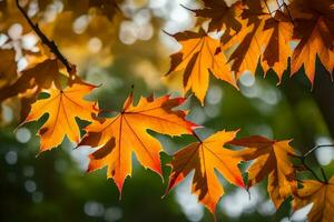 otoño hojas son mostrado en esta foto. generado por ai foto