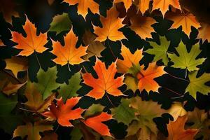 autumn leaves on a black background. AI-Generated photo