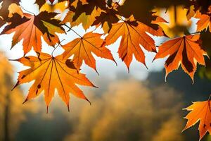 otoño hojas son mostrado en el luz de sol. generado por ai foto