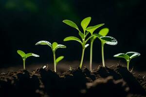 a group of young plants growing in the dirt. AI-Generated photo