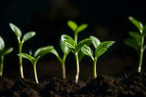 a group of young plants sprouting from the soil. AI-Generated photo