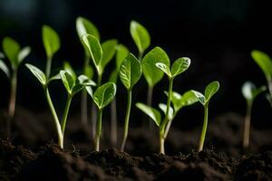 young plants sprouting from the soil. AI-Generated photo