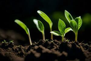 un grupo de joven plantas creciente en el suciedad. generado por ai foto