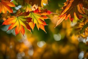 autumn leaves, autumn, autumn leaves, autumn leaves, autumn leaves, autumn leaves, autumn. AI-Generated photo