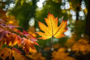 otoño hojas, otoño, otoño hojas, otoño hojas, otoño hojas, otoño hojas, otoño. generado por ai foto