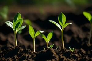 a group of young plants growing in the dirt. AI-Generated photo