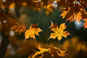 autumn leaves, autumn, leaves, leaves, autumn, leaves, autumn, leaves, autumn. AI-Generated photo