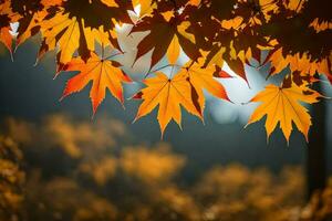 autumn leaves on a tree in the sun. AI-Generated photo