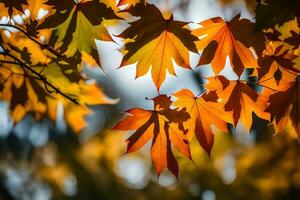 otoño hojas son mostrado en esta foto. generado por ai foto