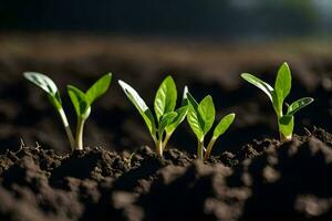 three young plants growing in the dirt. AI-Generated photo