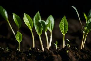 young plants sprouting from the soil. AI-Generated photo