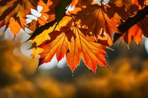 autumn leaves are shown in this photo. AI-Generated photo