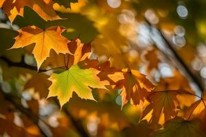 otoño hojas, otoño, otoño hojas, otoño hojas, otoño hojas, otoño hojas, otoño. generado por ai foto