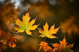 otoño hojas en un rama. generado por ai foto