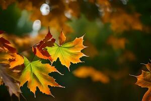 otoño hojas son mostrado en esta foto. generado por ai foto