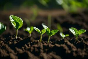 a group of young plants growing in the dirt. AI-Generated photo