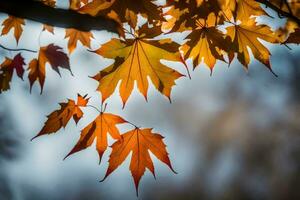 autumn leaves on a tree branch. AI-Generated photo