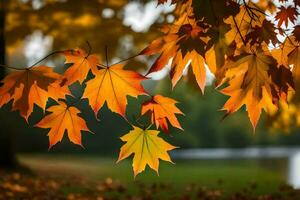 autumn leaves hanging from a tree in front of a lake. AI-Generated photo