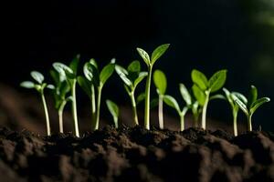 young plants sprouting from the soil. AI-Generated photo