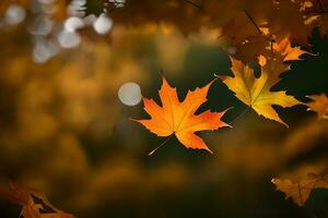 autumn leaves, autumn, autumn leaves, autumn leaves, autumn leaves, autumn leaves, autumn. AI-Generated photo