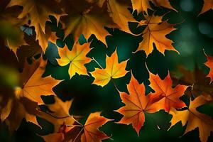 otoño hojas, otoño, hojas, hojas, otoño, hojas, otoño, hojas, otoño. generado por ai foto