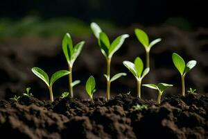 young plants sprouting from the soil. AI-Generated photo