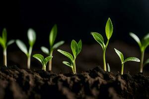 un grupo de joven plantas creciente en el suelo. generado por ai foto