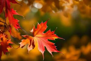 photo wallpaper leaves, the sun, autumn, the leaves, the leaves, the leaves, the. AI-Generated