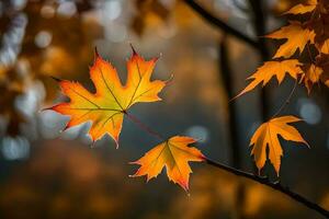 otoño hojas, otoño, otoño hojas, otoño hojas, otoño hojas, otoño hojas, otoño. generado por ai foto