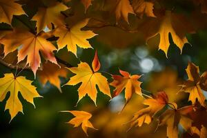 autumn leaves on a tree. AI-Generated photo