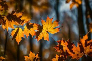 otoño hojas en el bosque. generado por ai foto