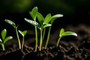 a close up of young plants growing in the dirt. AI-Generated photo