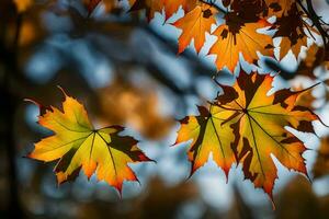 autumn leaves are shown in the sunlight. AI-Generated photo