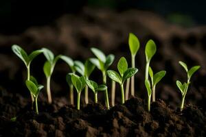 young plants sprouting from the soil. AI-Generated photo