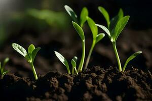 a close up of young plants growing in the soil. AI-Generated photo