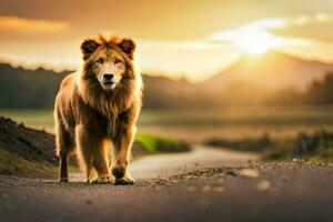 a lion walking on a road at sunset. AI-Generated photo