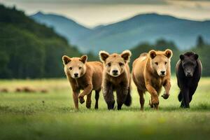 cuatro marrón osos corriendo en un campo. generado por ai foto