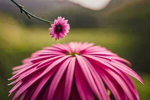 a pink flower is in the middle of a field. AI-Generated photo