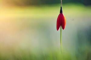 a red flower hanging from a string in front of a lake. AI-Generated photo