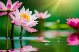 lotus flowers in water with sun shining. AI-Generated photo