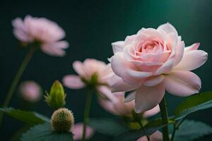 pink roses are blooming in front of a green background. AI-Generated photo