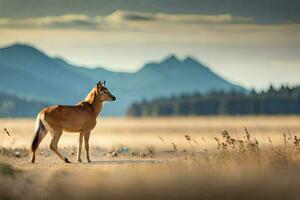 a deer stands in the middle of a field. AI-Generated photo