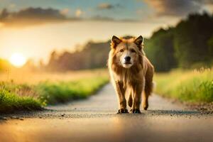 a dog walking down a road at sunset. AI-Generated photo