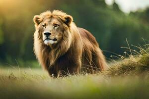 un león es caminando en el césped. generado por ai foto