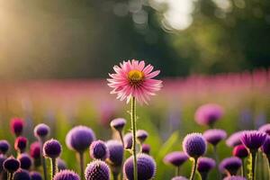 un soltero rosado flor soportes fuera en un campo de púrpura flores generado por ai foto