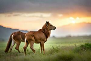 two horses are standing in a field at sunset. AI-Generated photo