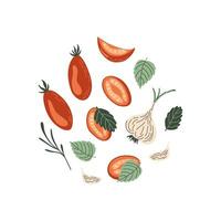 Tomato, garlic and basil. Set of fresh vegetables. Ingredients for making sun-dried tomatoes. Food collection. Flat style vector illustration.